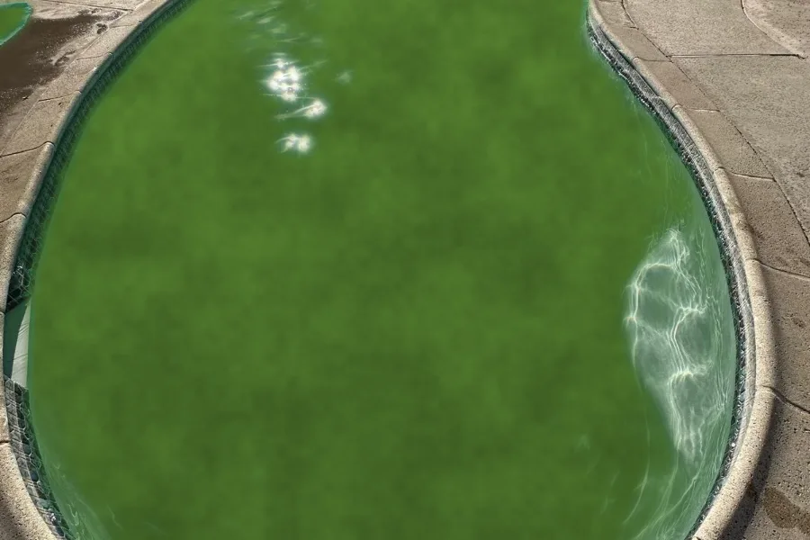The same pool before service — green with algae